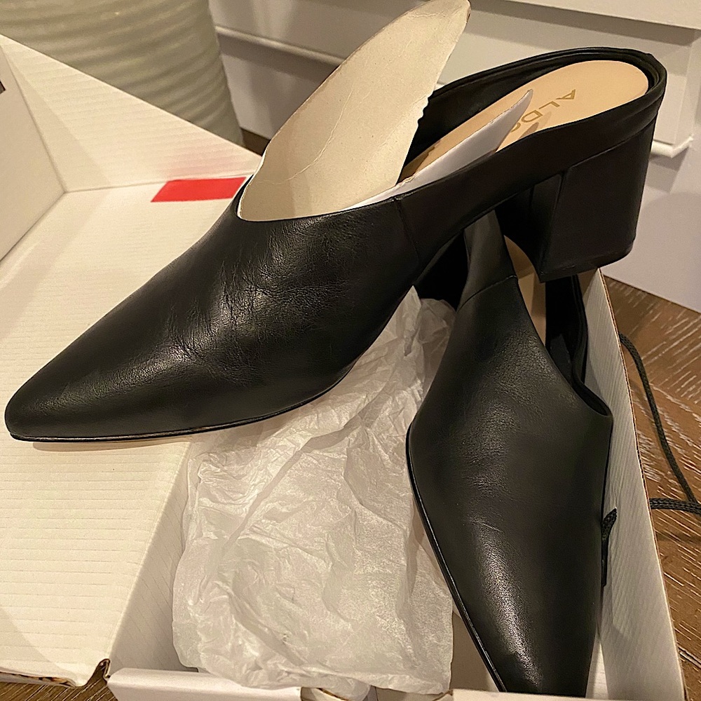 NEW Aldo Anisari Heels